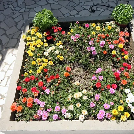 By The Sea Rab - 24761 * Rab Town